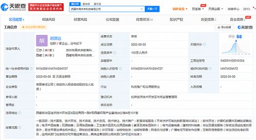 新東方拓展西藏市場 成立互聯(lián)網銷售子公司，注冊資本100萬元